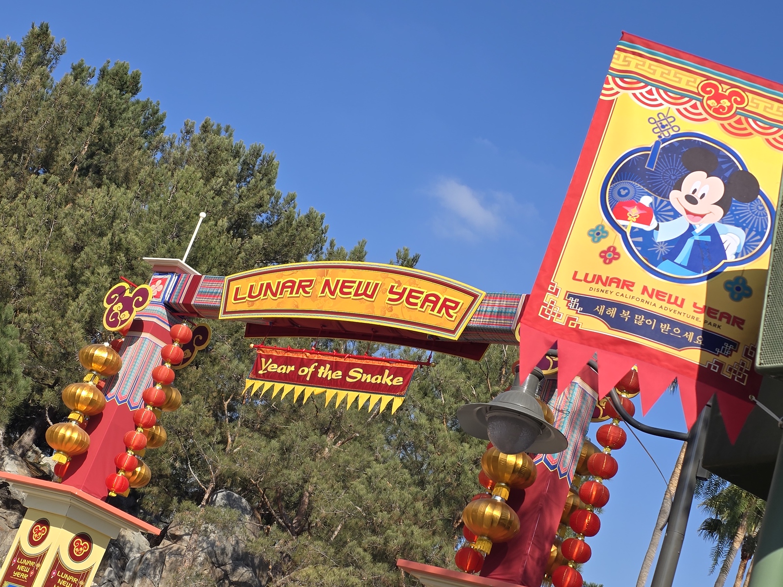 Complete Guide: 2025 Lunar New Year at Disney California Adventure — article image from MouseInfo